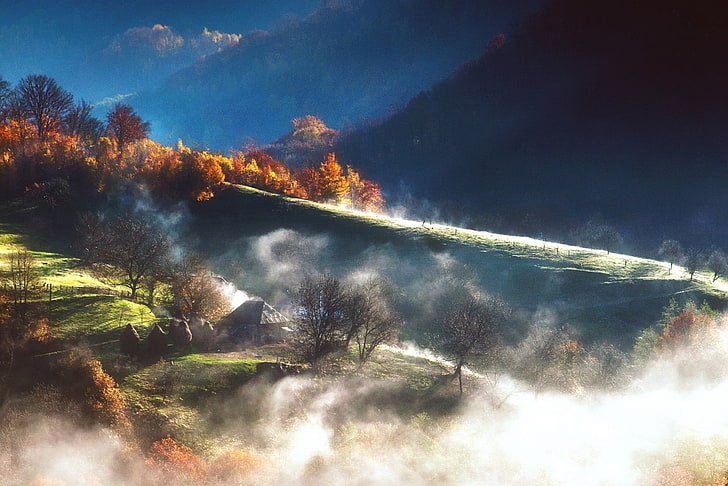 昼間、自然、風景、秋、山、霧、木、小屋、森林、日光の間に煙で森の写真を撮られた緑と茶色の木、 HDデスクトップの壁紙