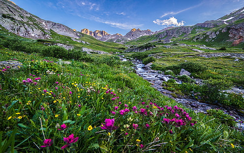 Paisaje Hermoso paisaje Rocky Peaks Stream Pradera con coloridas flores de montaña Cielo azul Primavera en Colorado Fondo de pantalla de alta definición para teléfonos móviles Tablet y PC 2560 × 1600, Fondo de pantalla HD HD wallpaper