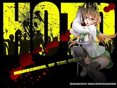 Anime, Highschool Of The Dead, Tapety HD HD wallpaper