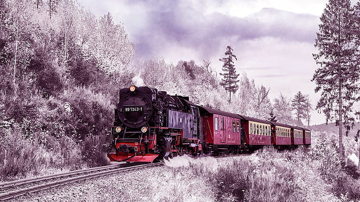 蒸気機関車、トラック、レール、機関車、列車、木、冬、植物、雪、蒸気機関車、蒸気、冬の風景、 HDデスクトップの壁紙
