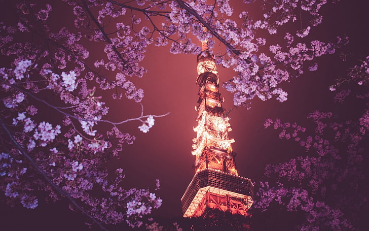 fioletowe kwiaty, kwiaty, Tokyo Tower, Japonia, Tokio, noc, Tapety HD