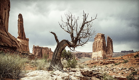 USA, Utah, landscape, rock, nature, desert, overcast, HD wallpaper HD wallpaper