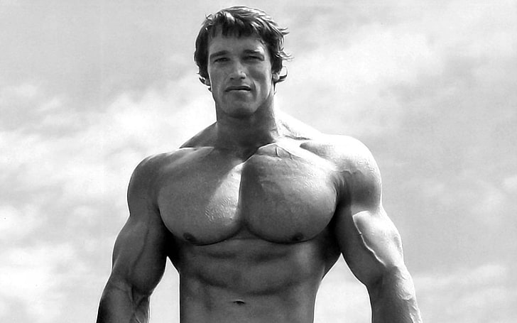 Graustufenfoto von Arnold Schwarzenegger, Schauspieler, Arnold Schwarzenegger, HD-Hintergrundbild