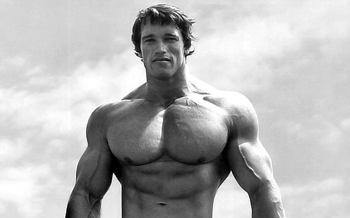 photo en niveaux de gris de Arnold Schwarzenegger, Acteurs, Arnold Schwarzenegger, Fond d'écran HD HD wallpaper