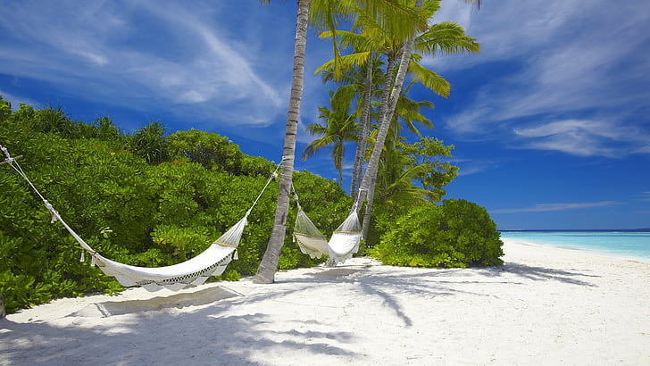 Hängematten-tropische Strand-Palmen HD, Natur, Bäume, Strand, tropisch, Palme, Hängematte, HD-Hintergrundbild