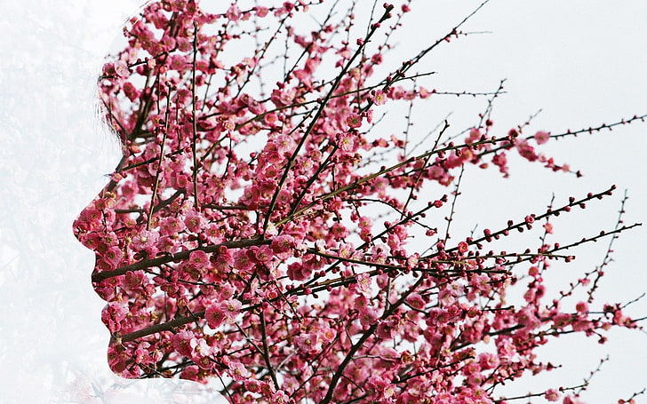 вишневое дерево, розовые цветы, листья, растения, деревья, силуэт, лицо, двойная экспозиция, ветка, простой фон, профиль, вишневые деревья, сакура (дерево), HD обои