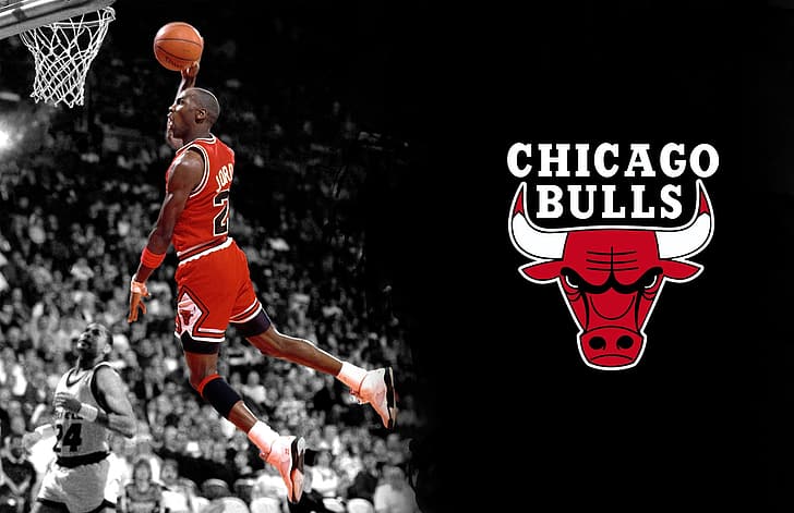 basquete, Michael Jordan, Chicago Bulls, HD papel de parede