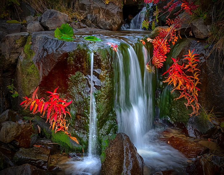 clear waterfalls, waterfall, nature, colorful, leaves, moss, red, landscape, HD wallpaper