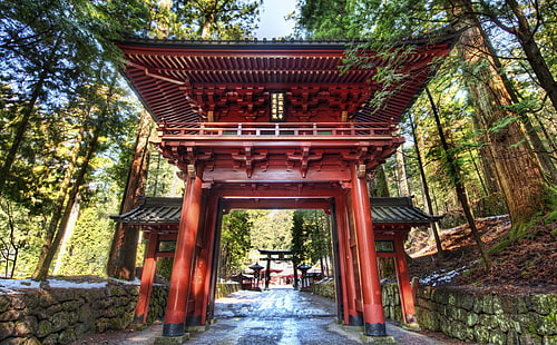 بوابة المعبد في اليابان ، سقيفة خشبية بنية ، آسيا ، اليابان ، غابة ، زقاق ، معبد ، بوابة ، نيكو، خلفية HD HD wallpaper