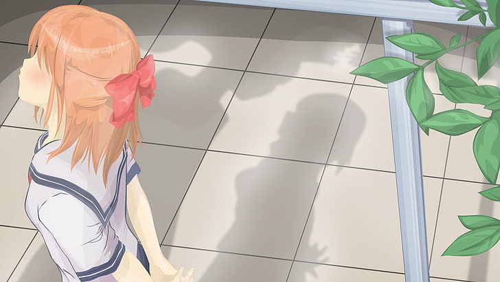 Kantoku anime girl works Widescreen Wallpaper 06, brown-haired female anime character illustration, HD wallpaper