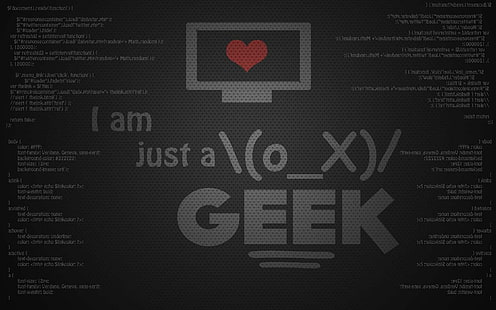 Code, Codierung, Geek, Programmierer, Programmierung, HD-Hintergrundbild HD wallpaper