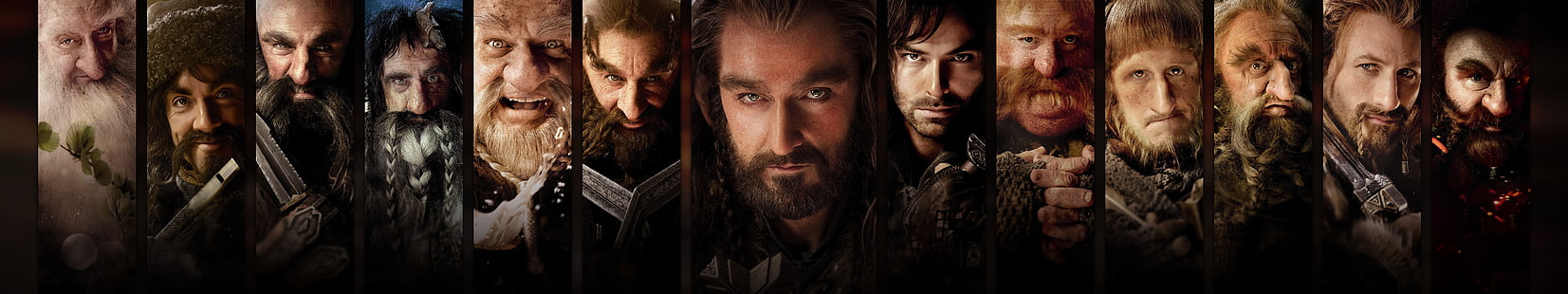 Lo sfondo dello Hobbit, Lo Hobbit, Thorin Oakenshield, pannelli, nani, film, collage, Sfondo HD HD wallpaper