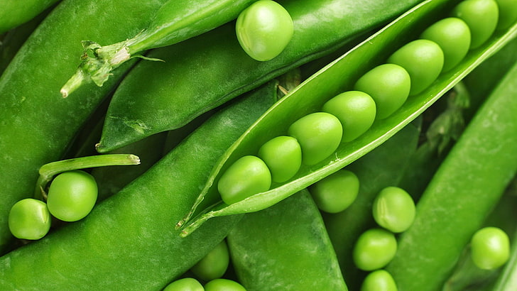 bean, vegetable, food, peas, healthy, pea, organic, seed, nutrition, raw, vegetarian, fresh, close, diet, legume, produce, pod, plant, ingredient, eating, natural, beans, cucumber, closeup, health, agriculture, gourmet, crop, tasty, chili, freshness, eat, ripe, open, vegetables, HD wallpaper