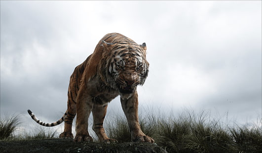 Księga dżungli, Księga dżungli (2016), Shere Khan, Tapety HD HD wallpaper