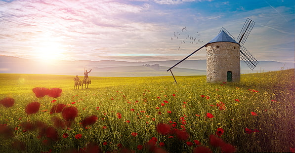 Don Quijote de la Mancha, Fantasie, Mühle, Luminos, Annewipf, Blume, Feld, Mohn, Don Quijote, Vara, Sommer, HD-Hintergrundbild HD wallpaper