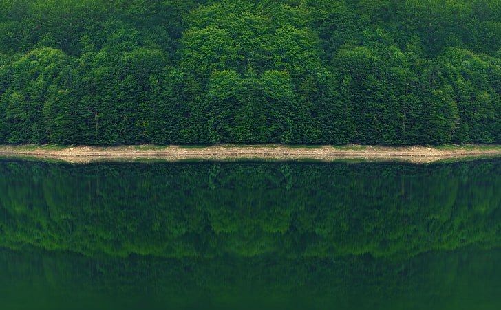 Темно-зеленый лес у реки, аэрофотосъемка острова, Природа, Леса, лето, зеленый, красивый, темный, деревья, отражение, магия, лес, река, заколдованный, 2015, туманный, иллюзия, лицо, подобие, HD обои