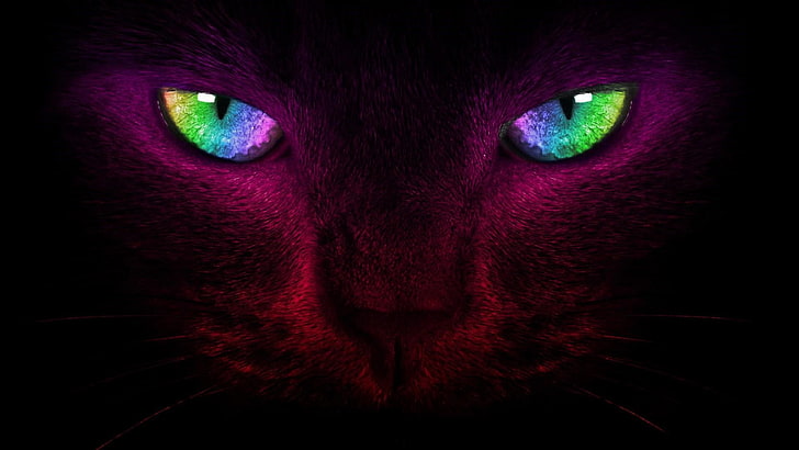 кошка, глаза, красочные, цифровое искусство, кошачьи глаза, темно, усы, взгляд, фиолетовый, темнота, HD обои
