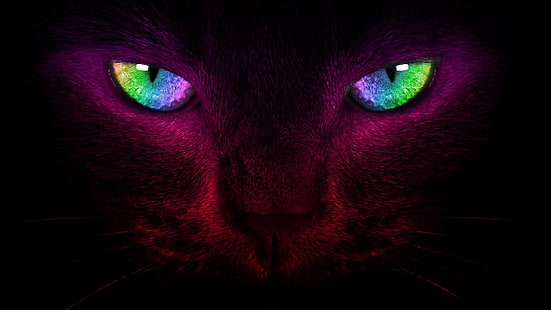 katt, ögon, färgrik, digital konst, kattögon, mörk, polisonger, blick, lila, mörker, HD tapet HD wallpaper