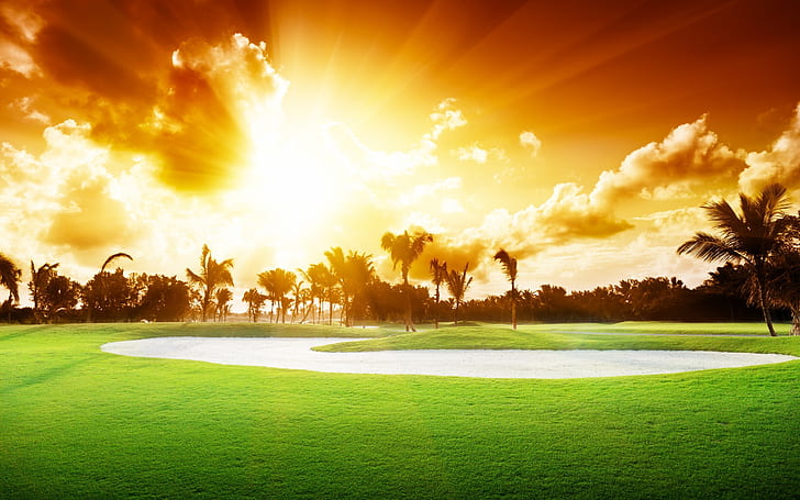 Bright Sunshine, sunshine, landscape, palms, HD wallpaper