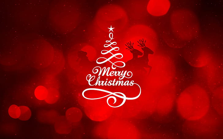Merry Christmas New, merry christmas signage, christmas, merry, HD wallpaper