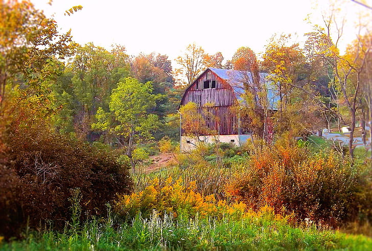 Brilho da manhã de outono no país, campo, construção, fazenda, outono, natureza, outono, manhã, outubro, celeiro, setembro, HD papel de parede