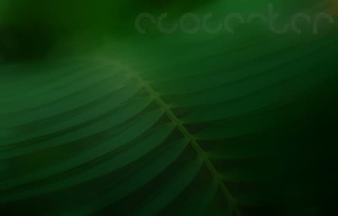  eco, plants, nature, green, landscape, blurred, text, HD wallpaper HD wallpaper