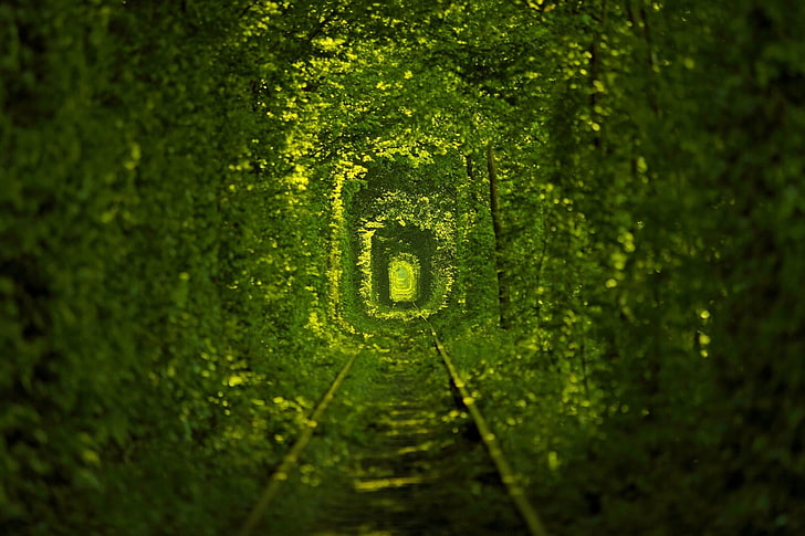 природа, украина, железная дорога, деревья, зелень, листья, тоннель, HD обои