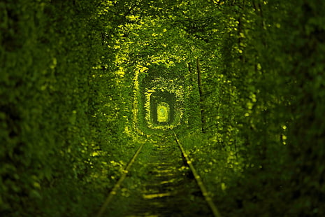 nature, Ukraine, chemin de fer, arbres, vert, feuilles, tunnel, Fond d'écran HD HD wallpaper