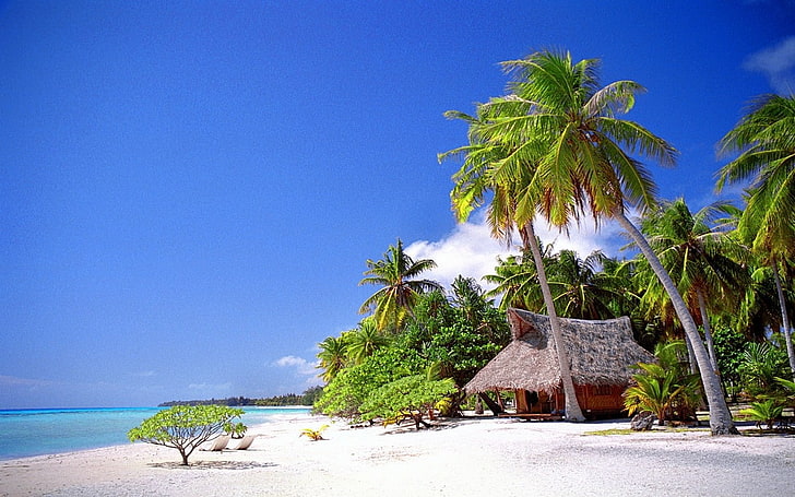 пляж, домик, пейзаж, природа, пальмы, песок, море, лето, тропика, отдых, HD обои