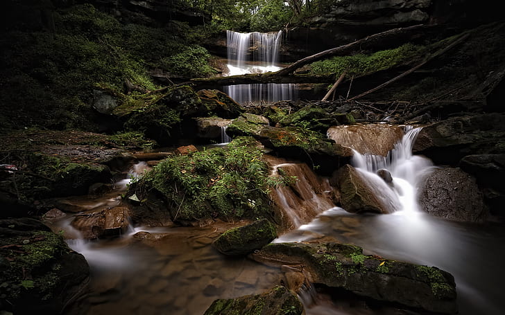 Waterfall Stream Forest Moss Rocks Stones HD, ธรรมชาติ, ป่า, หิน, หิน, น้ำตก, สตรีม, มอส, วอลล์เปเปอร์ HD