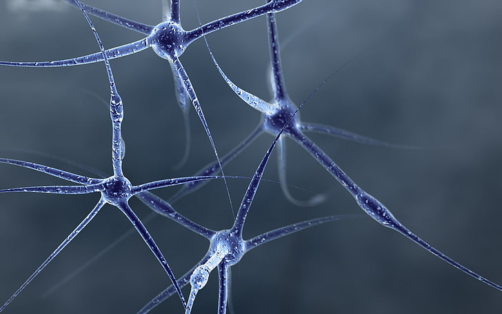 microrganismi neri, neurone, struttura, forma, connessioni, cellula, Sfondo HD