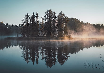водоем, лес, озеро, отражение, природа, деревья, вода, туман, HD обои HD wallpaper