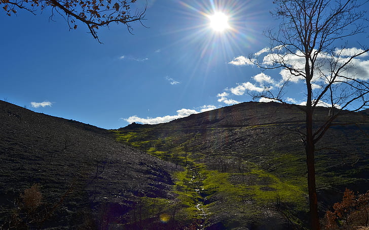 Солнечный свет HD, зеленые и серые холмы под голубым небом, природа, солнечный свет, дерево, HD обои