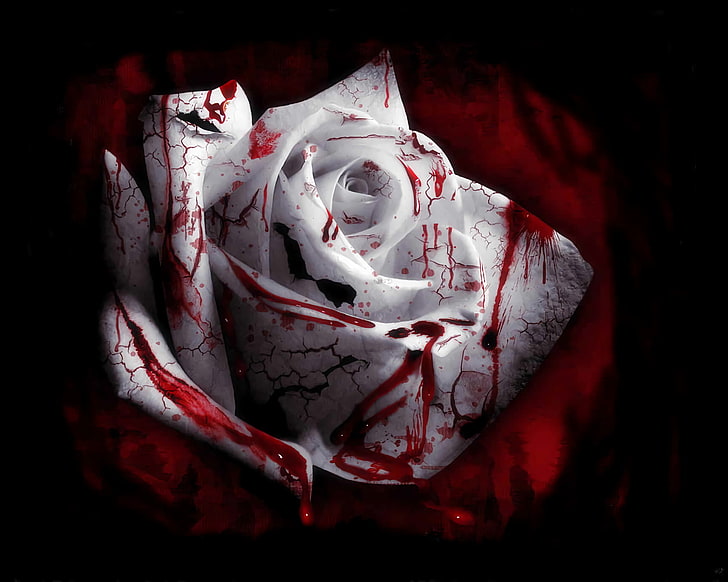 バラ、血のはね、白い花、植物、血、 HDデスクトップの壁紙