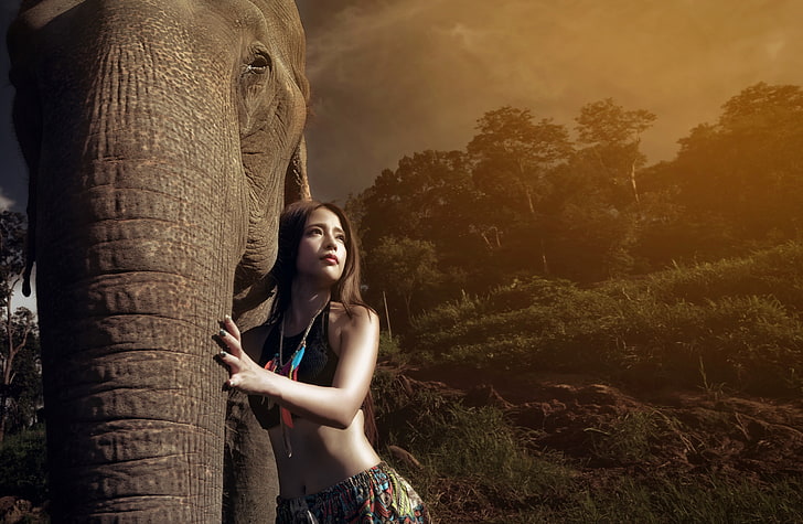 donna che indossa la cima del raccolto nero che tiene tronco di elefanti, asiatico, donne, animali, elefante, Sfondo HD