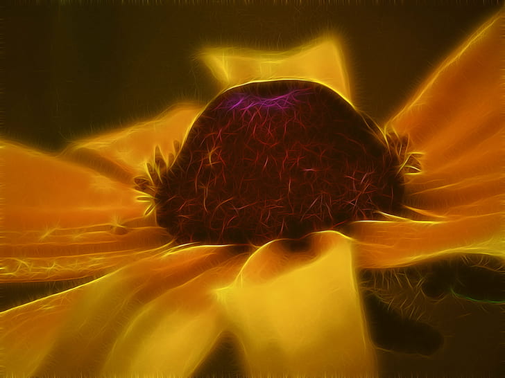 yellow and purple flower, yellow, purple flower, flower  flower, Black Eyed Susan, fractal, fine art, cc, attribution, macro, abstract, fire - Natural Phenomenon, glowing, HD wallpaper