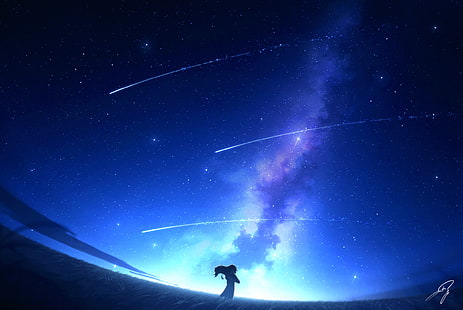Anime, Original, Menina, Estrela cadente, Céu estrelado, HD papel de parede HD wallpaper