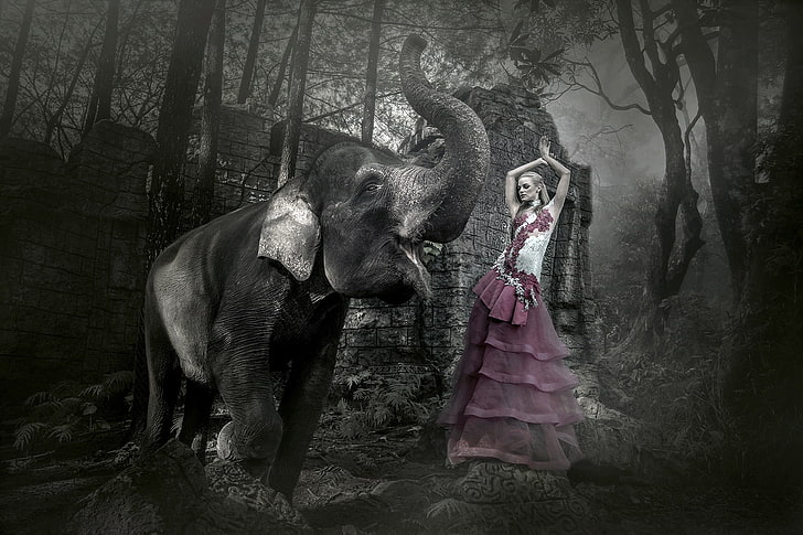 elephant, women, model, animals, HD wallpaper