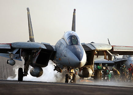 Jet Fighters, Grumman F-14 Tomcat, Wallpaper HD HD wallpaper