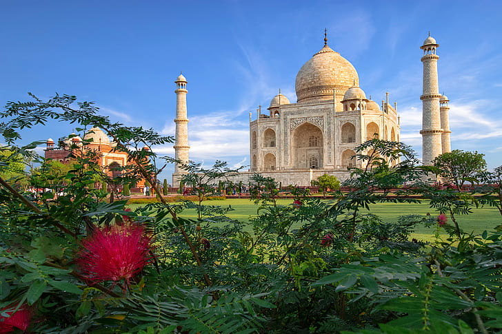 India, Taj Mahal, mosque, architecture, the bushes, the mausoleum, Agra, acacia, HD wallpaper