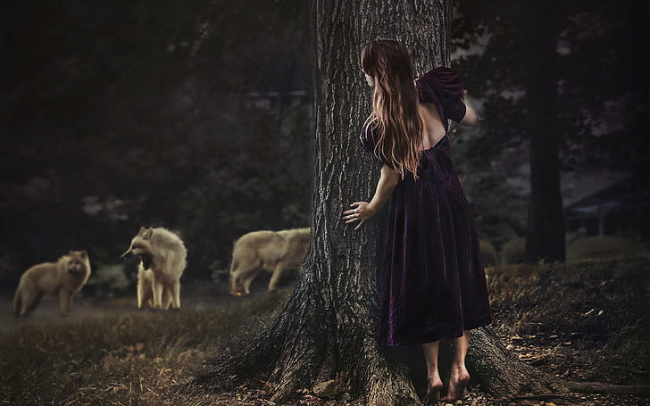 Woman, Hiding, Tree, Forest, Wolves, Dark, Nature, woman, hiding, tree, forest, wolves, dark, nature, HD wallpaper