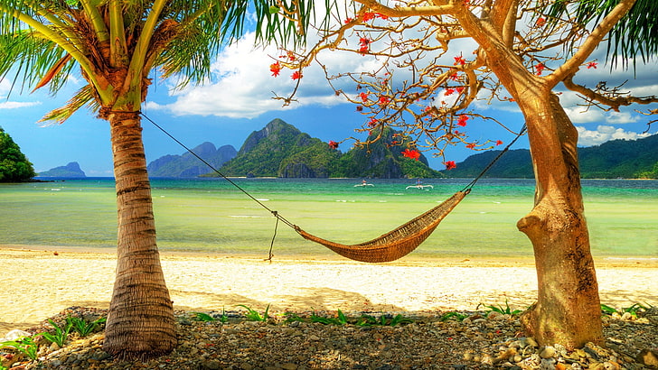 hamac brun, hamac, côte, palmier, feuilles, plage, relax, intimité, Fond d'écran HD