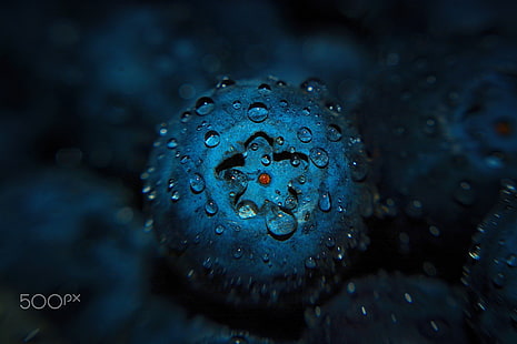 แมโครผลไม้หยดน้ำบลูเบอร์รี่, วอลล์เปเปอร์ HD HD wallpaper