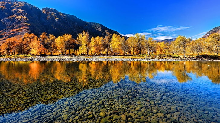 yellow leafed tree, nature, landscape, fall, reflection, Russia, Altai Mountains, mountains, HD wallpaper