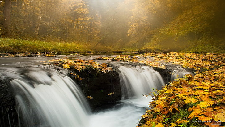 Silver Falls State Park, Oregon, Fall, HD wallpaper