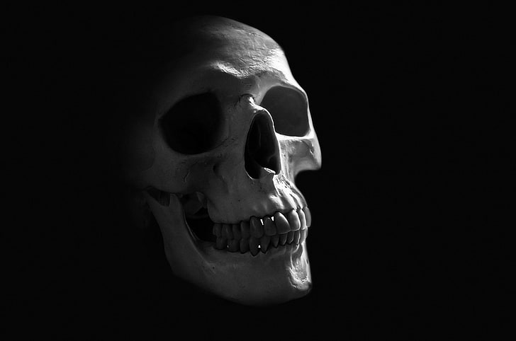 Dark, Skull, Anatomy, Human, Minimalist, HD wallpaper
