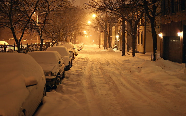 голи дървета, кола, сняг, фотография, нощ, зима, улица, град, градски, улично осветление, фенер, превозно средство, къща, спокоен, HD тапет