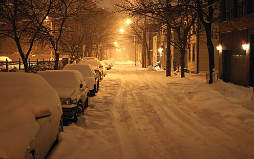 голи дървета, кола, сняг, фотография, нощ, зима, улица, град, градски, улично осветление, фенер, превозно средство, къща, спокоен, HD тапет HD wallpaper