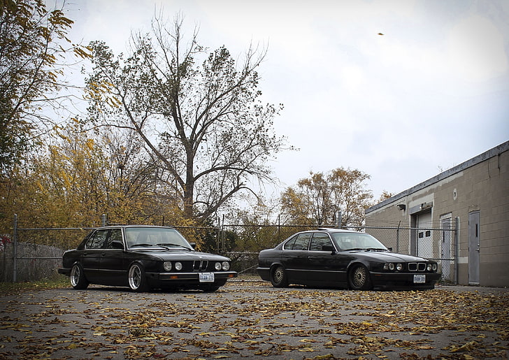 two black BMW sedans, autumn, leaves, tuning, BMW, drives, classic, E34, stance, E28, HD wallpaper