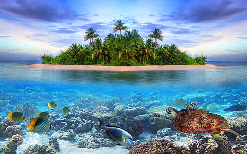 Paisaje de la costa, isla, mar, palmeras, pescado, tortuga, Costa, paisaje, isla, mar, palmeras, árboles, peces, tortuga, Fondo de pantalla HD HD wallpaper